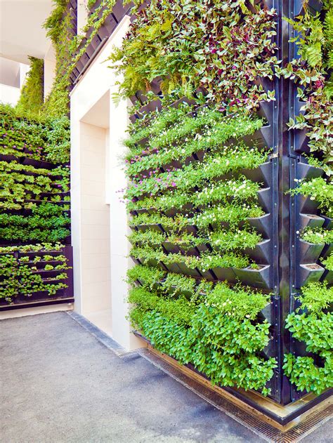 Vertical gardening. Things To Know About Vertical gardening. 